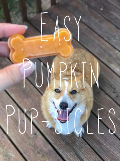 Pumpkin Popsicles For Dogs, Woof Pupsicle Recipes, Pup Sicles, Pumpkin Recipes For Dogs, Pumpkin Yogurt, Pet Recipes, Puppy Ideas, Easy Dog Treat Recipes, Frozen Dog Treats