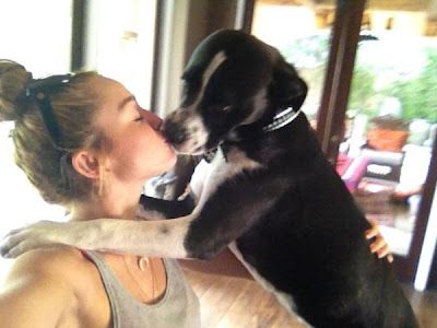 Liam Helmsworth, are you sure you  want to marry Miley Cyrus?  Worse than picking her nose  Always French kissing dogs http://tweenmusic.blogspot.com/2012/07/liam-helmsworth-are-you-sure-you-want.html Marketing Sociologist @PhoenixRichard Dogs Photos, Photos People, Miley Cyrus, Kiss, Dogs