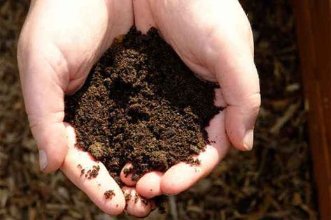 Why Composting is the Greenest Thing You Can Do Gardening Knowledge, Graveyard Dirt, Spell Pages, Voodoo Hoodoo, Witch Spirituality, Halloween Traditions, Wicca Witchcraft, Pagan Witchcraft, Top Soil