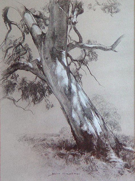 John McCartin  "Dappled Light", 41cm x 30cm, Charcoal and white pastel on toned paper. 숲 사진, Easy Pencil Drawings, Tree Drawings Pencil, Tree Sketches, Landscape Sketch, Dappled Light, 흑백 그림, Pencil Drawings Easy, Charcoal Art