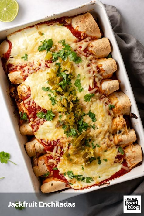 Jackfruit Enchiladas Vegan, Jackfruit Fajitas, Jackfruit Enchiladas, Enchiladas With Black Beans, Dump Recipes, Black Bean Enchiladas, Vegetarian Enchiladas, Bean Enchiladas, Dump Meals