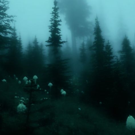 fairy core fairycore twilight core twilightcore aesthetic icons aestheticicons Twilightcore Aesthetic, Twilight Core, Grunge Pictures, Trash Art, Dark Green Aesthetic, Foggy Forest, Green Aesthetic, Sheep, Forest