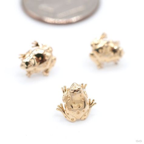 Infinite Body Piercing on Instagram: “Sir Hops has arrived! This @junipurrjewelry end was just too cute to resist, we had to hop right on it ❤️ Available now online and in…” Beautiful Jewelry, Piercings, Yellow Gold, One Piece, Yellow, Gold