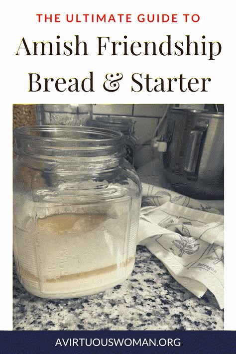 Sourdough Bread Without Starter, Bread Without Starter, Amish Bread Starter Recipes, Sweet Cinnamon Bread, Bread Starter Recipe, Amish Bread Starter, Amish Bread Recipes, Amish Friendship Bread Starter Recipes, Friendship Bread Recipe