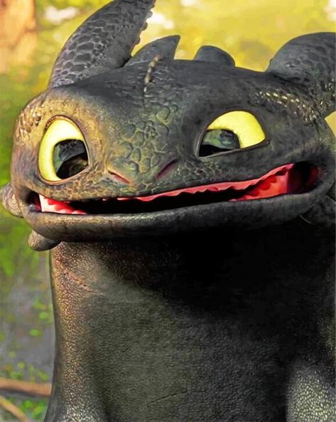 Toothless Smile, Cute Toothless, Toothless Dragon, Ronaldo Wallpapers, Toothless, Httyd, How To Train Your Dragon, Disney And Dreamworks, Anime Dragon Ball