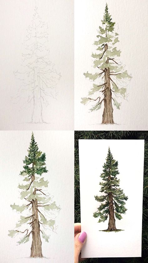 Pine Tree Tutorial, Pine Tree Painting, Tree Tutorial, Mini Tutorial, Watercolor Paintings For Beginners, Watercolor Tree, Watercolor Paintings Easy, 수채화 그림, Watercolor Trees