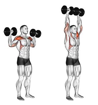 Exercise Database (Shoulders41) - Standing Dumbbell Shoulder Press — Jase Stuart - The Better Body Coach Dumbbell Shoulder Press, Dumbell Workout, Bodybuilding Nutrition, Chest Workouts, Dumbbell Workout, Gym Workout Tips, Bodybuilding Workouts, Arnold Schwarzenegger, Shoulder Workout