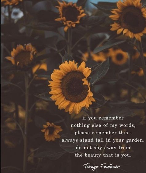 Plant Quotes Life Inspiration Wisdom, Plant Quotes Life Inspiration Thoughts, Plant Quotes Life Inspiration, Plants Quotes Life Inspiration, Nature Aesthetic Quotes, Crystal Wallpaper, Plant Quotes, Life Notes, Sunflower Quotes