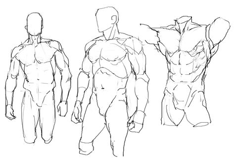 Drawing Body Proportions, Figure Drawing Practice, Male Body Drawing, Male Art Reference, Human Anatomy Drawing, Human Anatomy Art, Anatomy Sketches, Body Reference Drawing, 캐릭터 드로잉