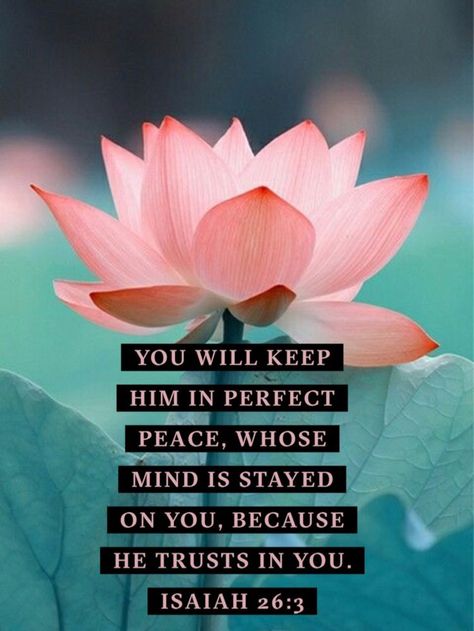 Isaiah 26:3 NLT 3 You will keep in perfect peace all who trust in you, all whose thoughts are fixed on you! Verses For Fear, Faith Paintings, Faith Binder, Scripture Decor, True Vine, Isaiah 26, Best Bible Verses, Inner Peace Quotes, Perfect Peace