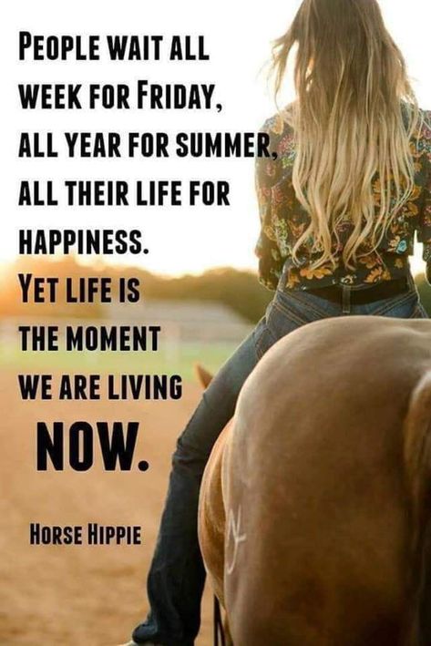 Reagan Quotes, Livestock Quotes, Rodeo Quotes, Cowgirl Quote, Inspirational Horse Quotes, Western Quotes, Horse Riding Quotes, Cowboy Quotes, Inspirational Life Lessons