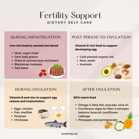 Jun Negoro (@kanpobliss) | Instagram profile Fertility Support, Coq10 Benefits Fertility, Pregnancy Herbs, Hormone Nutrition, Getting Pregnant Tips, Fertility Nutrition, Fertility Help, Fertility Foods, Postpartum Health