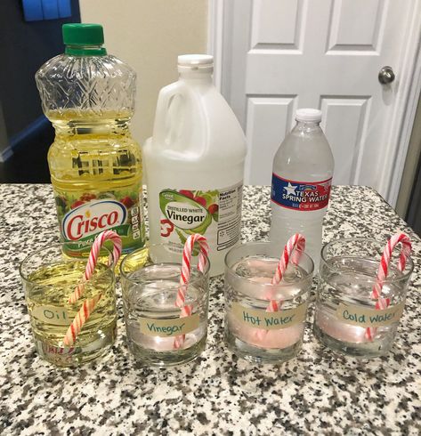 Which one will dissolve first? Find out in this Christmas experiment! Science Experiments For Elementary, Christmas Science Experiments For Kids, Christmas Stem Challenge, Christmas Science Activities, Christmas Science Experiments, Science Experiments For Kids, Experiments Kids, Christmas Science, Christmas Stem