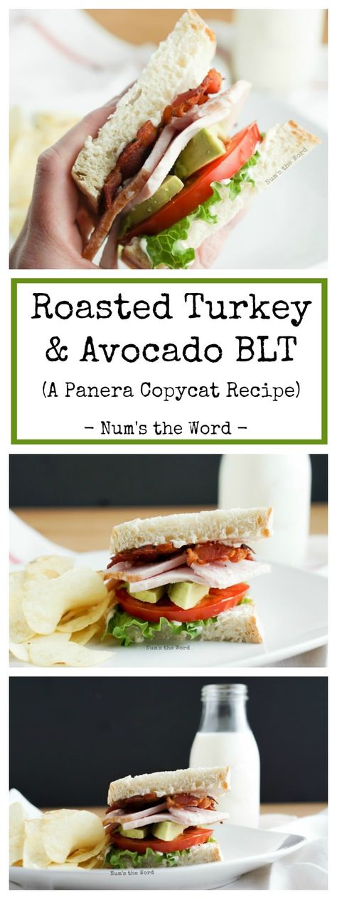 Roasted Turkey & Avocado BLT - NumsTheWord #sandwich #recipe #blt #sammy Panera Turkey Avocado Blt, Panera Roasted Turkey Avocado Blt, Turkey Apple Sandwich, Turkey Blt, Blt Recipes, Turkey Avocado, Bread Roast, Dinner Sandwich, Avocado Blt