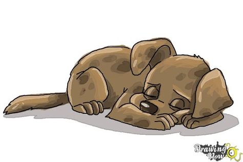 How to Draw a Sleeping Dog - Step 9 Step By Step Sketches, Drawing Steps, Easy Step By Step Drawing, Back Drawing, Sleepy Dogs, Drawing Lessons For Kids, How To Draw Steps, Drawing Lesson, Dog Steps