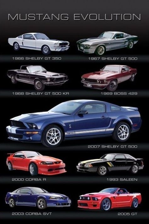 Mobil Mustang, Shelby Gt 500, Gt 350, Muscle Cars Mustang, Built Ford Tough, Mustang Cobra, Shelby Gt, Ford Shelby, Mustang Fastback