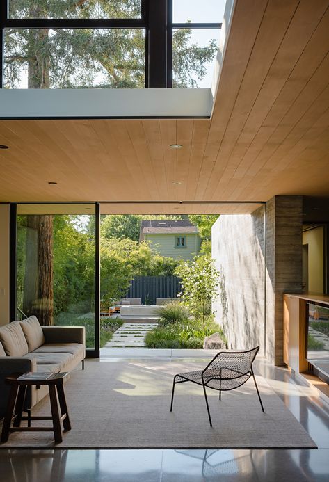 Feldman Architecture lifts The Sanctuary house above Silicon Valley site Sanctuary House, Storey Homes, Minimal Home, Urban Oasis, Silicon Valley, Venice Beach, Outdoor Areas, Architecture Project, Concrete Floors