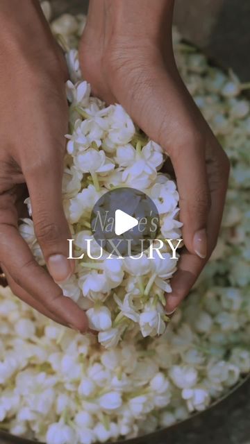 FloraSoul on Instagram: "FloraSoul is a blissful blend of - ⁠ ⁠ 🌺 Ayurveda's Essence:⁠ Stands firm, embracing Ayurveda as its core and pioneering traditions with formulations that confidently embody the time-honored wisdom of natural skincare evolution.⁠ ⁠ 🌿 Nature’s Luxury:⁠ Redefining luxury with unapologetic naturalness, epitomizing grandeur for conscientious indulgence, confidently setting trends in the world of plant-based luxury.⁠ ⁠ 🧪 Science-backed Innovation:⁠ Harmoniously blends Ayurvedic tradition and scientific efficacy to create avant-garde formulations for exceptional skincare performance.⁠ ⁠ 🙏🏻 Holistic Well-being:⁠ Embodies a lifestyle of well-being, not a trend, with formulations that blend skincare and self-care for a poised stride towards holistic well-being.⁠ ⁠ 💧Pr Remedy For Itchy Skin, Skincare Photoshoot Ideas, Skin Care Products Photography, Ayurvedic Skin Care, Product Photoshoot, Products Photography, Plant Based Skincare, Herbal Products, Beauty Products Photography