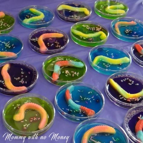 Science Party Decorations, Science Themed Party, Science Birthday Party Ideas, Scientist Birthday Party, Mad Scientist Birthday, Radio Active, Lab Scientist, Mad Science Party, Scientist Birthday