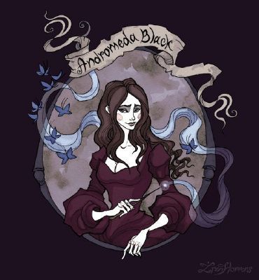 Andromeda Black, Harry Potter Illustrations, Black Sisters, Harry Potter Artwork, Bellatrix Lestrange, Harry Potter Gif, Harry Potter Drawings, Harry Potter Love, Harry Potter Obsession