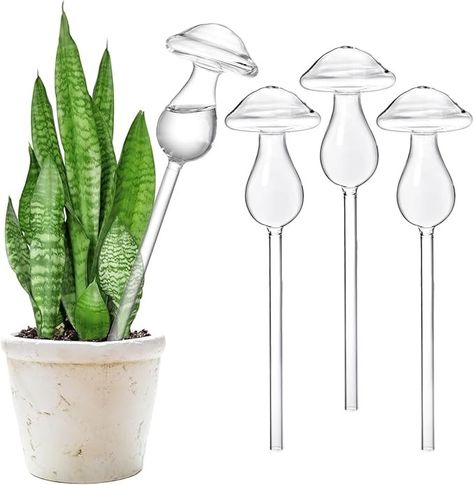 Amazon.com: SOUJOY 4 Pieces Plant Watering Globes, Glass Self Watering Bulb, Hand Blown Automatic Irrigation Spike Device for Indoor and Outdoor Plants, Mushroom : Patio, Lawn & Garden Watering Bulbs, Plant Watering, Self Watering, Watering Globe, Container Plants, Outdoor Plants, Lawn Care, Lawn Garden, Hand Blown Glass