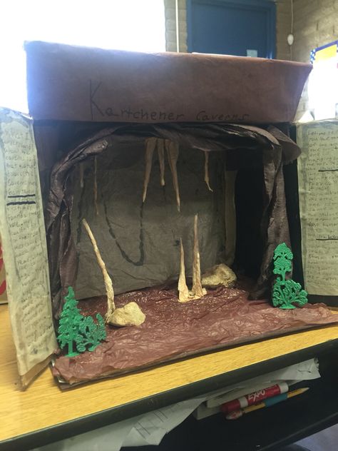 Cardboard Cave Diy, Desert Biome Shoebox Project, Cheetah Diorama For Kids, Bat Cave Projects For Kids, Cheetah Habitat Diorama, Cave Diorama Boxes, Cave Quest, Kartchner Caverns, Bats For Kids