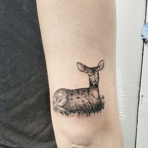 Keely Thurman | Tattoo Artist on Instagram: “A doe laying in the grass 🌸 . . . #doetattoo #deertattoo #dotworktattoo #utah #utahartist #slc #slcart #slcartist #ink #illustration…” Doe Tattoo, Deer Tattoo, Dotwork Tattoo, Dot Work Tattoo, Ink Illustration, Artist On Instagram, The Grass, Ear Tattoo, Tattoo On