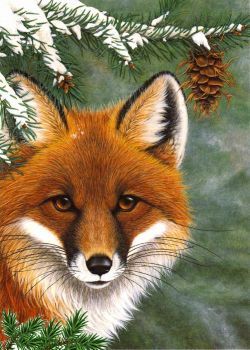 Fox Paintings, Rustic Fox, Farm Animal Paintings, Animal Paintings Acrylic, Fox Artwork, Fox Images, Fall Art Projects, Beautiful Scenery Photography, Fox Pictures