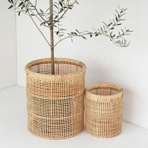 Rattan Pots For Plants, Rattan Planters Indoor, Cane Planters, Rattan Aesthetic, Hanging Pots For Plants, Cane Accessories, Rattan Plant Stand, Cane Plant, Patio Flower Pots