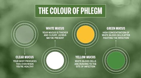 The Colour Of Your Phlegm And It’s Meaning Yellow Mucus, Remedy For Sinus Congestion, Getting Rid Of Phlegm, Home Remedies For Sinus, Sinus Congestion Relief, Chest Cold, Dry Nose, Cold Medicine, Sinus Congestion