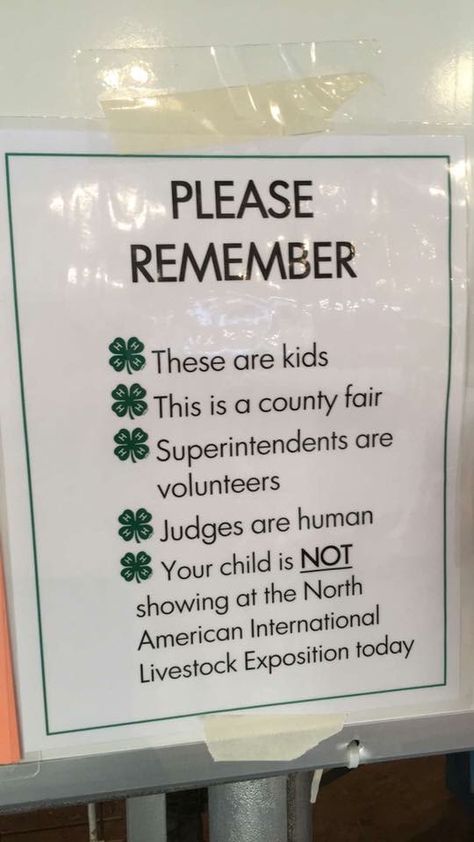 4-H 4h Fair Memes, Fair Week 4-h Quotes, Buyers Letters For Fair For 4h, 4h Buyers Gift Ideas, 4h Quotes, 4 H Project Ideas, 4 H Poster Ideas, 4-h Poster Ideas, Livestock Quotes