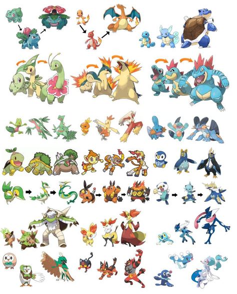 Bulbasaur Evolution, Catch Em All, Evolution, Pokemon, Pokémon