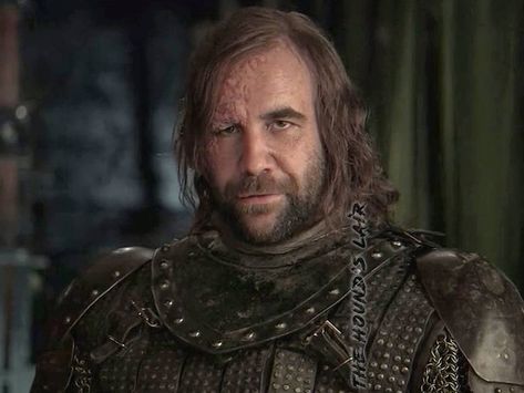 Hound Game Of Thrones, Brandon Sanderson Mistborn, Sandor Clegane, Rory Mccann, Can't Help Myself, Brandon Sanderson, Dream Boyfriend, The Hound, Daily Pictures