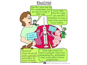 Rhogam Newborn Nursing, Nursing Information, Child Nursing, Nursing Board, Ob Nursing, Nursing Mnemonics, Nursing School Survival, Nursing School Studying, Nursing School Tips