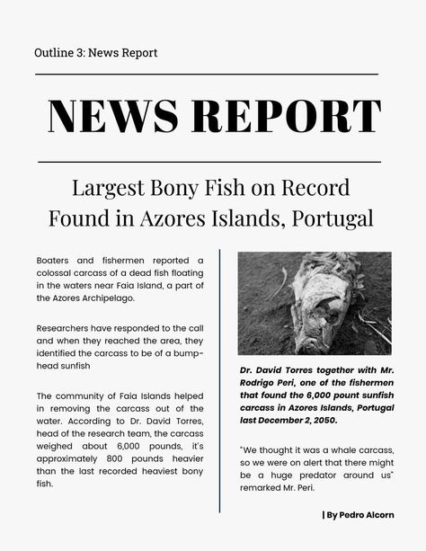 News Report Template, Paper Layout Templates, Academic Comeback, Article Template, School Newspaper, Complex Sentences, Education Templates, News Report, Newspaper Template