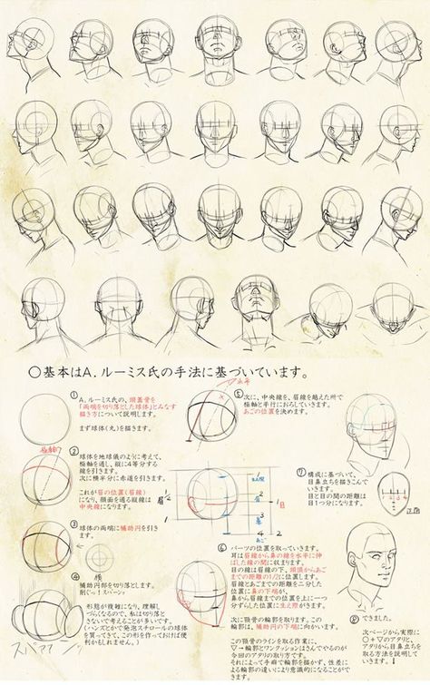 Face Figure Drawing Sketch, 360 Head Drawing Reference, 360 Head Drawing, Face 360 Drawing, Face 360 Reference, 360 Face Reference, 360 Head Turn Reference, Head 360 Reference, 360 Head Reference