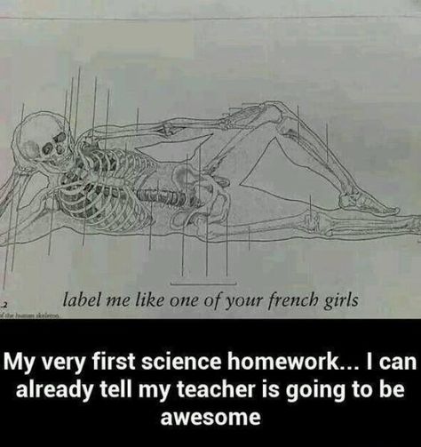 22 Teachers Caught Being Awesome Anatomy Teacher, Science Homework, Biology Teacher, French Girls, Have A Laugh, Best Teacher, Bones Funny, Homework, Biology