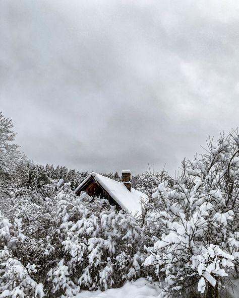 Winter In Lithuania, Vilnius Winter, Lithuania Winter, Lithuania Vilnius, Europe Aesthetic, 2025 Vision, Kinds Of People, Eastern Europe, Lithuania