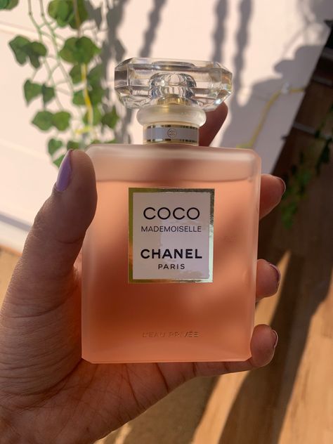 Chanel Madamemoiselle Perfume, Channel Coco Mademoiselle, Sneakerhead Room, Expensive Stuff, Coco Chanel Mademoiselle, Designer Aesthetic, Kitty Pictures, Perfume Bottle Design, Bday Gifts