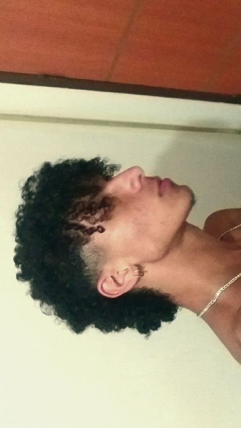 Low Fade Mullet Curly, Haircuts For Mixed Boys Curly Hair, Curly Mullet Men Black, Tapered Hairline Curly Hair, Black Man Mullet, Curly Hair Mullets, 3c Curly Hair Men, 4c Mullet, Mullet Curly Hair Men