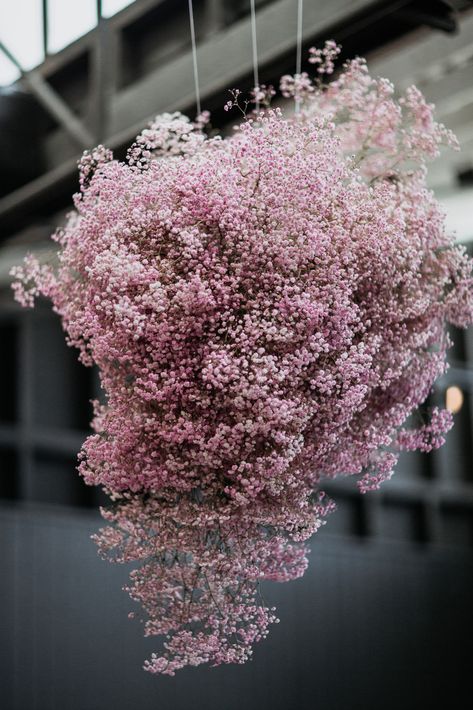 Bloodwood Botanica, Floral Cloud, Garden Event, The Refinery, Easter 2024, Flower Arrangement Designs, Pastel Theme, Flower Installation, Flower Festival