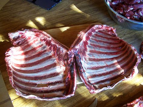 Deer Ribs Recipe, Butchering Deer, Cooking Deer Backstrap, Butchering Deer At Home, Processing Venison, Elk Butcher Chart, Deer Butchering, Meat Preservation, Deer Processing