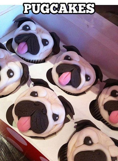 Pug Cakes, Pug Cupcakes, Pug Cake, Super Torte, Anjing Pug, Cookies Cupcake, Cupcakes Decorados, Creative Cupcakes, Cute Cupcakes