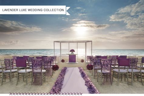 More beach Purple Beach Wedding, Beach Wedding Setup, Beach Wedding Purple, Dark Purple Wedding, Colin Cowie Wedding, Purple Beach, Palace Resorts, Purple Theme, Beach Ceremony