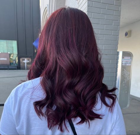 Pelo Color Vino, Inspo Hair, Hair Color Chart, Cut And Color, New Hair, Hair Inspo, Girl Hairstyles, Vision Board, Hair Color