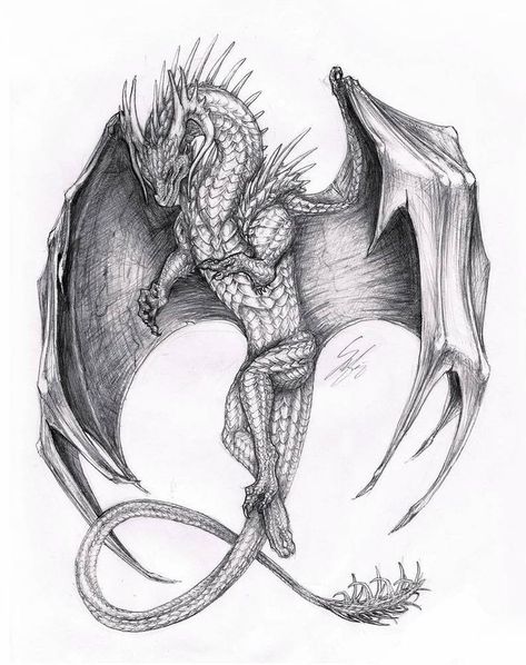 Dragon Tattoo Drawing, Dragon Tattoo Arm, Dragon Tattoo Sketch, Dragon Tattoos For Men, Small Dragon Tattoos, Dragon Tattoo Art, Dragon Sketch, Gothic Tattoo, Dragon Tattoo Designs