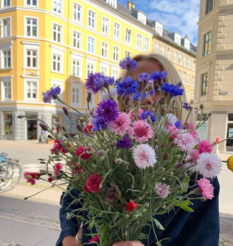 Francesca Core, Satisfying Aesthetic, Danish Summer, A Bouquet Of Flowers, Have Inspiration, No Rain, Flower Therapy, Bouquet Of Flowers, City Aesthetic