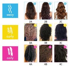 Afro Hair Types, Hair Type Chart, 3c Curly Hair, Hair Chart, Curly Hair Beauty, Hair Length Chart, Curly Hair Types, Hair Due, Colored Curly Hair