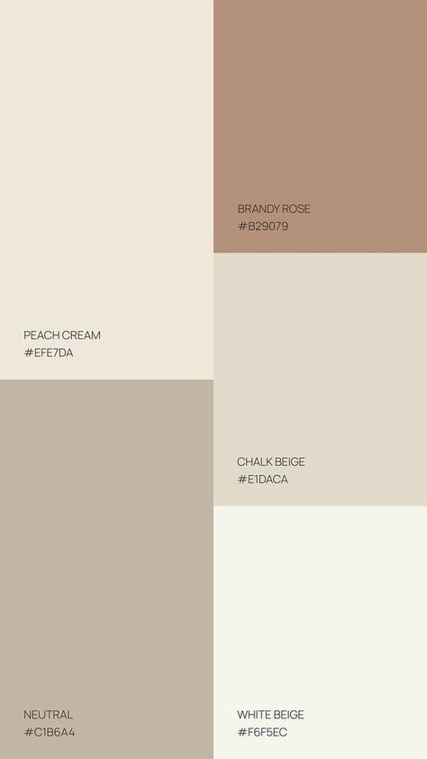 Chalk Beige Color, Colour Palette Muted, Cream Tones Colour Palettes, Colour Palette Neutrals, Neutral Cream Color Palette, Off White Color Code, Color Pallets Neutral, Beige Pantone Colour Palettes, Beige Pallet Colour Palettes