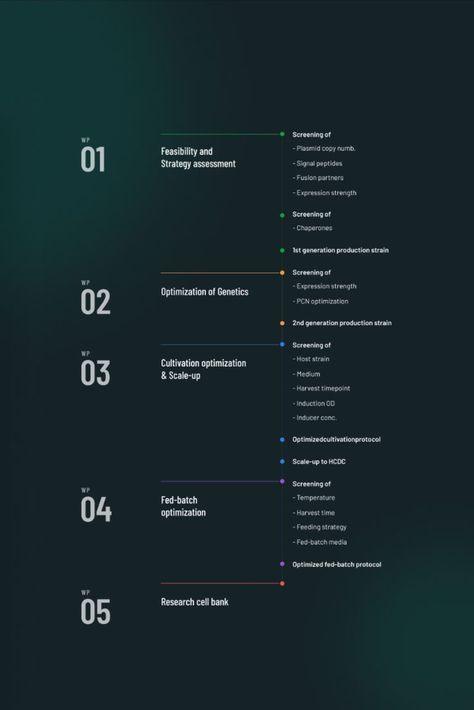 Learn the five essential UI design principles every beginner should know to create user-friendly #Case_Study_Web_Design #Event_Schedule_Design #Vertical_Timeline #Contents_Page_Design Event Schedule Design, Contents Page Design, Table Of Contents Design, Agenda Design, Ui Design Principles, Contents Layout, Data Visualization Design, Page Layout Design, Proposal Design